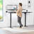 Universal Table Top for Sit to Stand Desk Frames-48106346-96924540-128964185