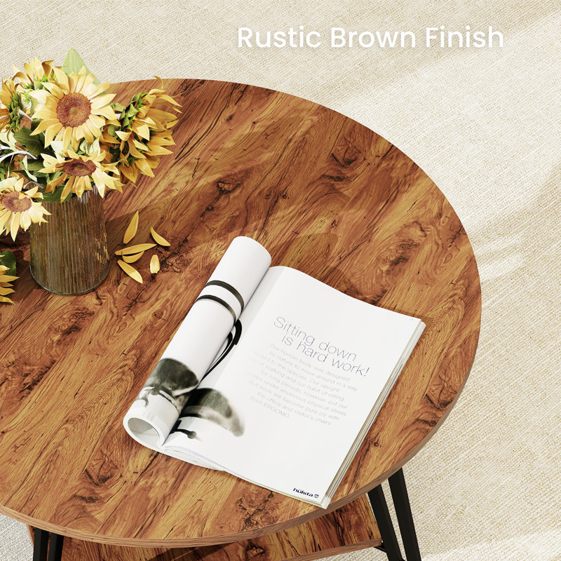 2 Tier Round Coffee Table With Square Shelf, Center Table With Solid Iron Legs For Living Room