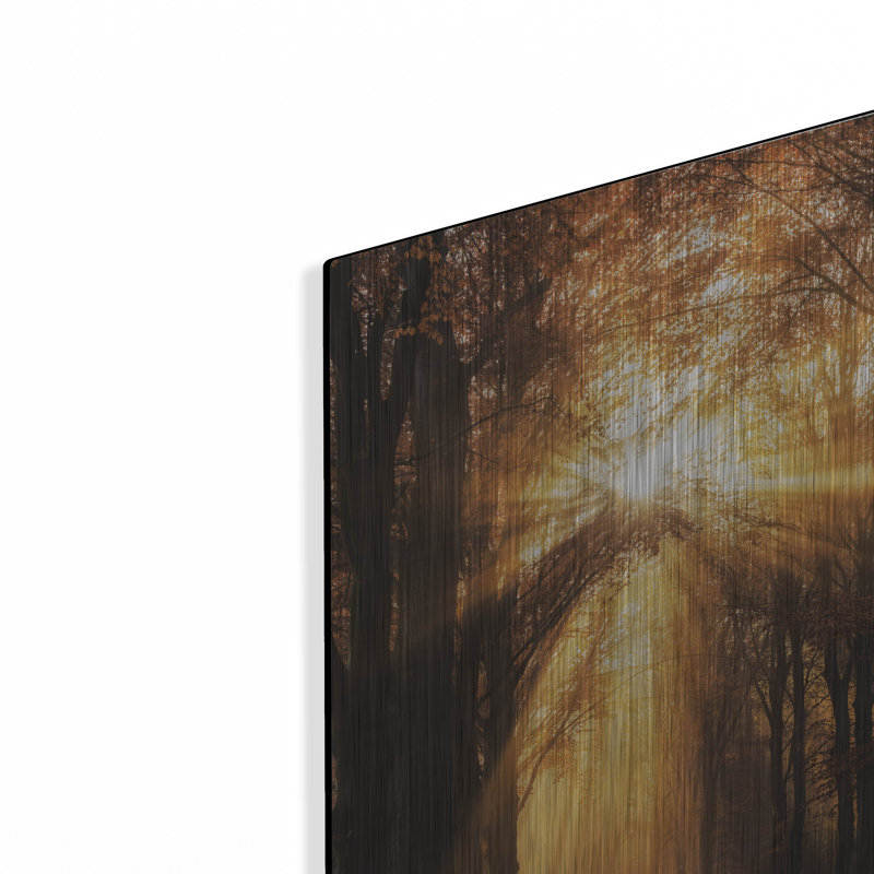 «Sunburst» par Martin Podt, H 16 po x l 12 po