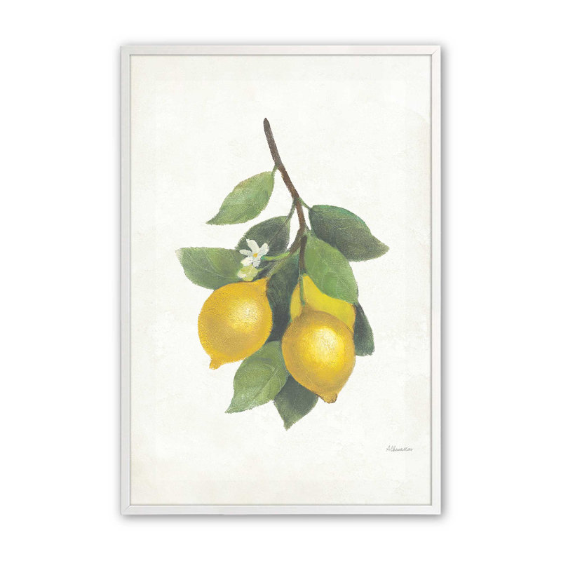 «Lemon Harvest II», Blanc opaque, H 11 po x l 9 po