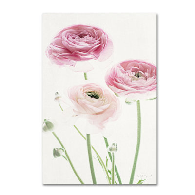 «Light and Bright Floral VI» de Davlin, impression sur toile tendue