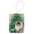 Colorpoint Longhair Cat