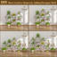 Busey Plant Stand