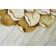 Pettingill Floral Indoor Rug