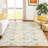 Machine Washable Indoor/Outdoor Chantille ACN2544 Damask Rug-373422659-373422669