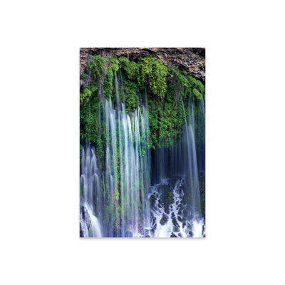 " Waterfall, Mcarthur-Burney Falls Memorial State Park, California " by Tim Fitzharris