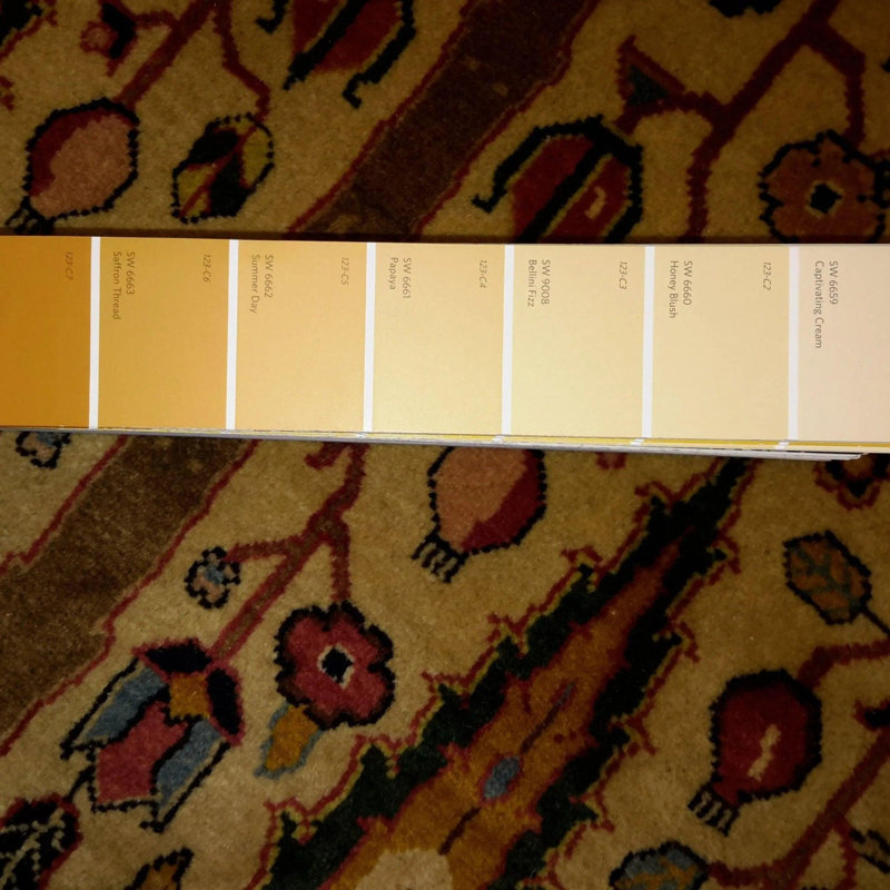 Hand Woven Cotton and Wool Oriental Area Rug