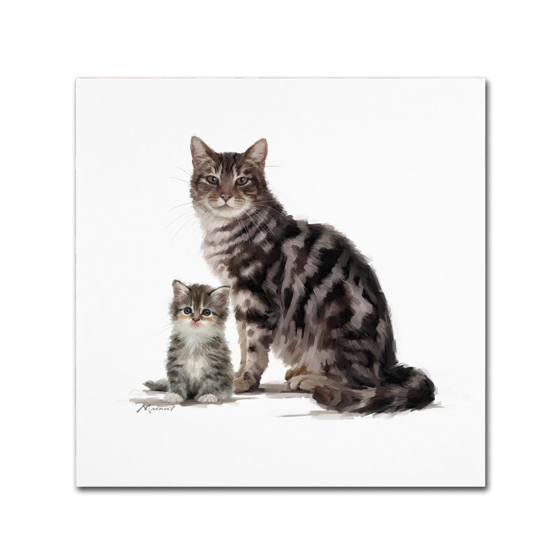 Armand 'Tabby' Print on Canvas, 18" H x 18" W x 2" D