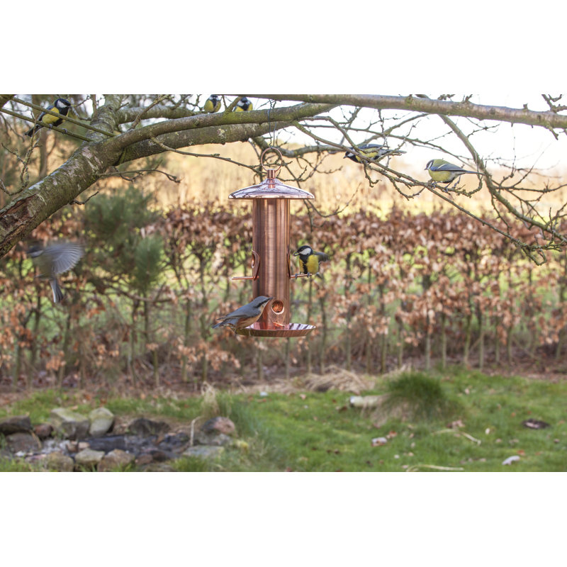 Copper Seed Feeder