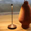 Pina Pro Table Lamp-820420410