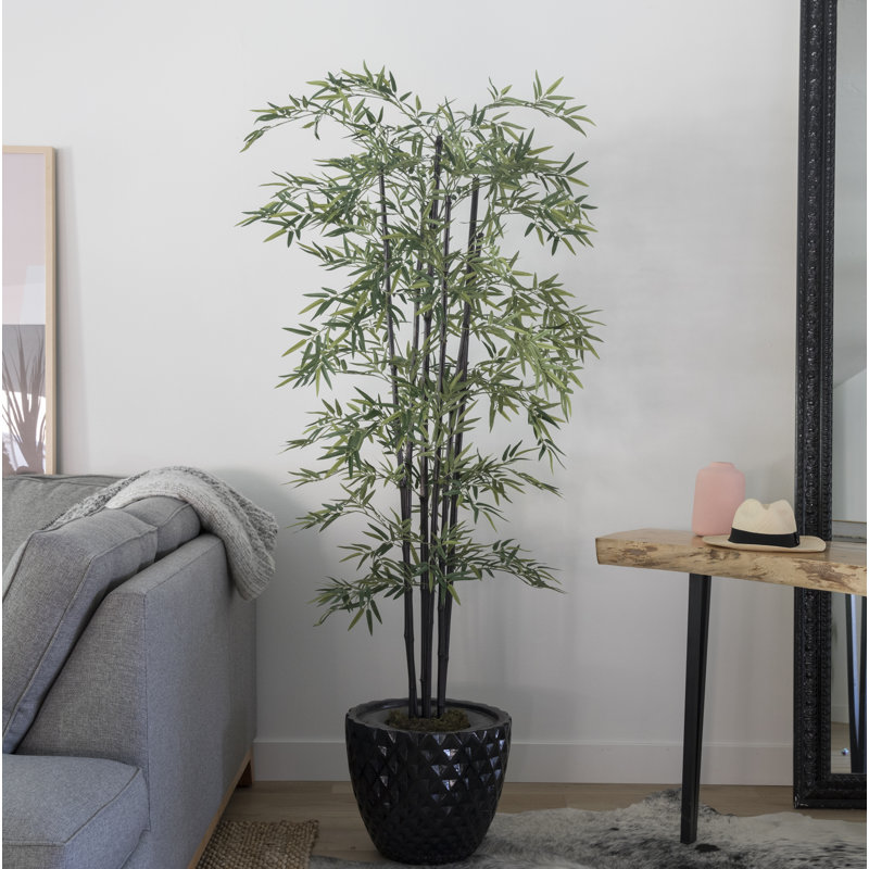 Bambou Panama Bannister