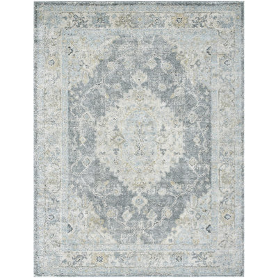 Hengrove Machine Woven Indoor Area Rug