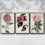 Ensemble de 3 pièces sur toile moyenne-97811980-97811977