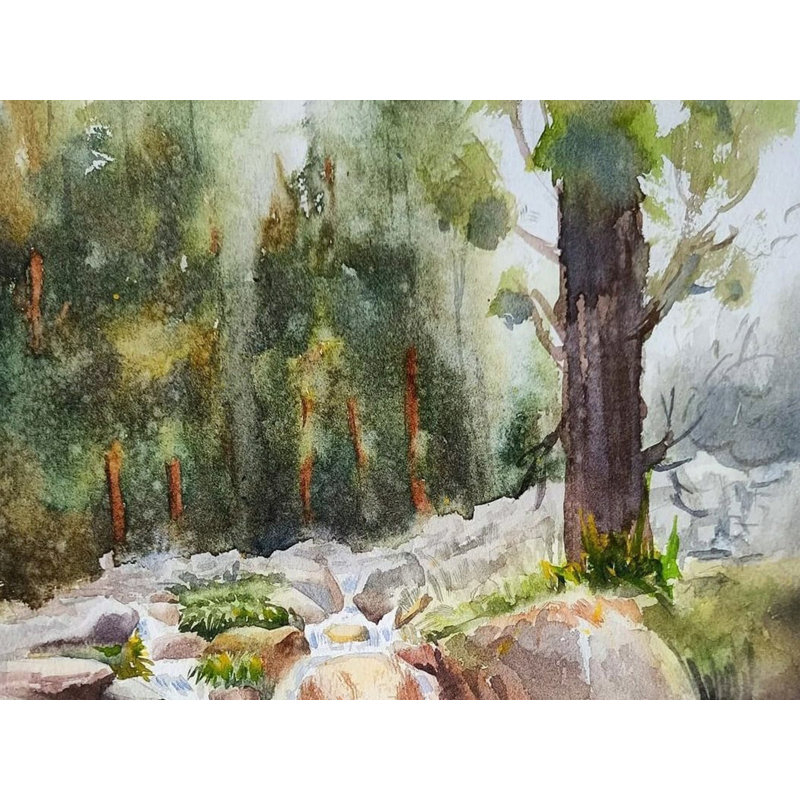 Portrait d'une cascade | Aquarelle | Kulwinder Singh