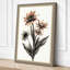 Study Botanical - Wrapped Canvas-1535967683-1535967693