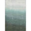 Tapis dégradé de qualité supérieure lavable à la machine Ariel AMF2011-1407986211