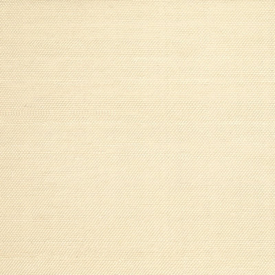 Indoor Rug