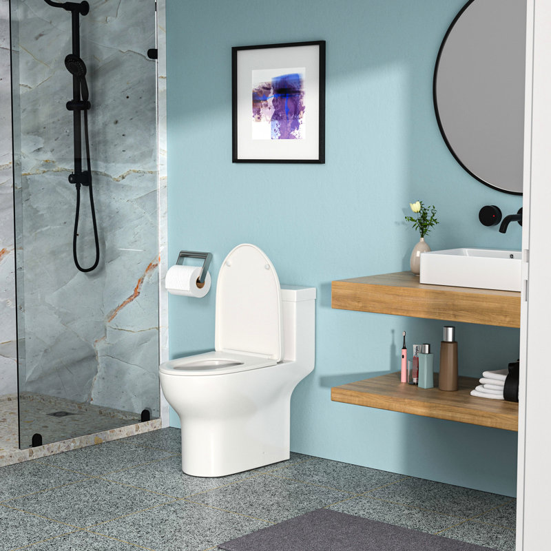 One Piece Ceramic Toilet With Lid - Siphon Flush, Low Water Absorption Rate, , White Accessory Soft High , Absorption, Contemporary Design,