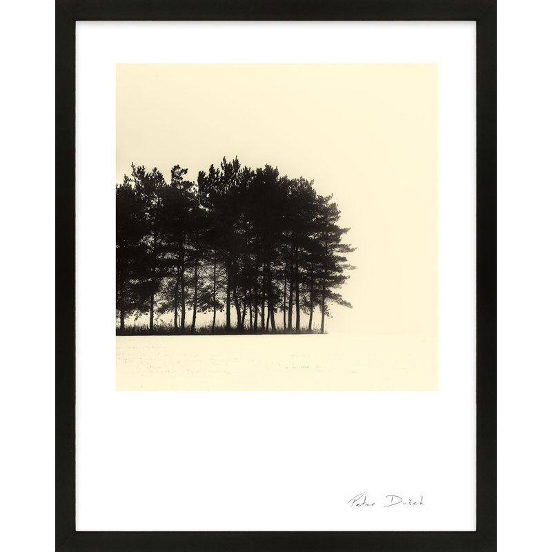 Copse Print by Peter Dušek, Black, 30" H x 24" W x 1.25" D