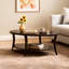 Table basse ovale de style Perth avec tablette inférieure; Sa conception simple complète divers canapés d'intérieur.