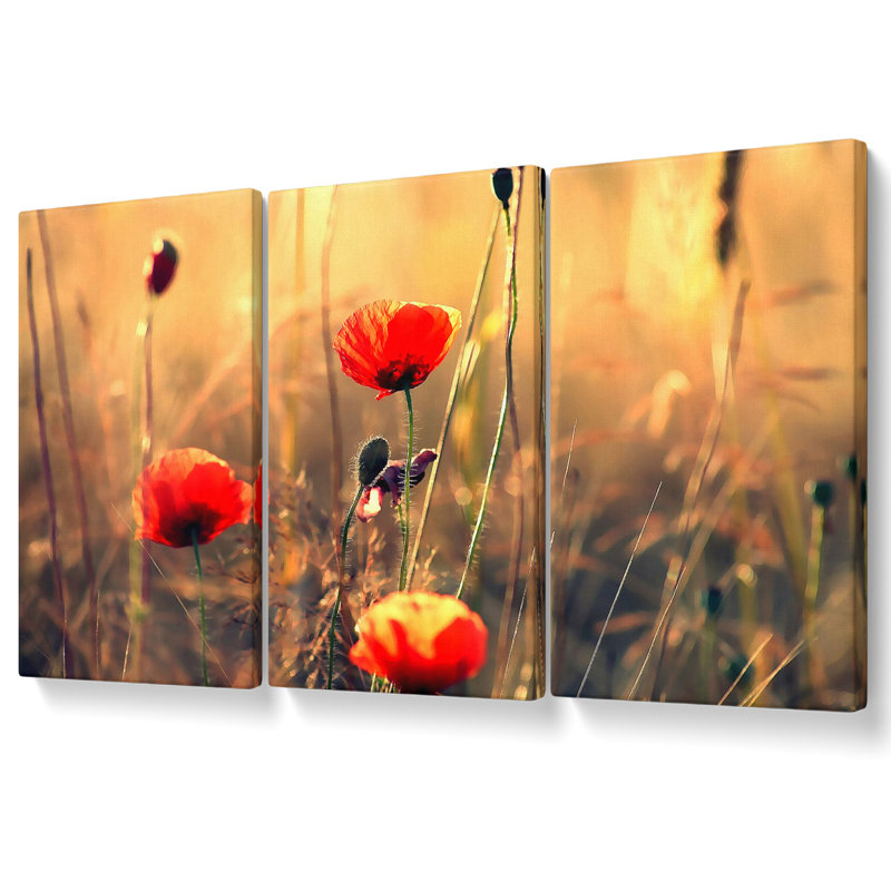 Ebern Designs Red Poppy Sun Rays - 3 Piece Wrapped Canvas Graphic Art ...