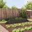 Plant Mat