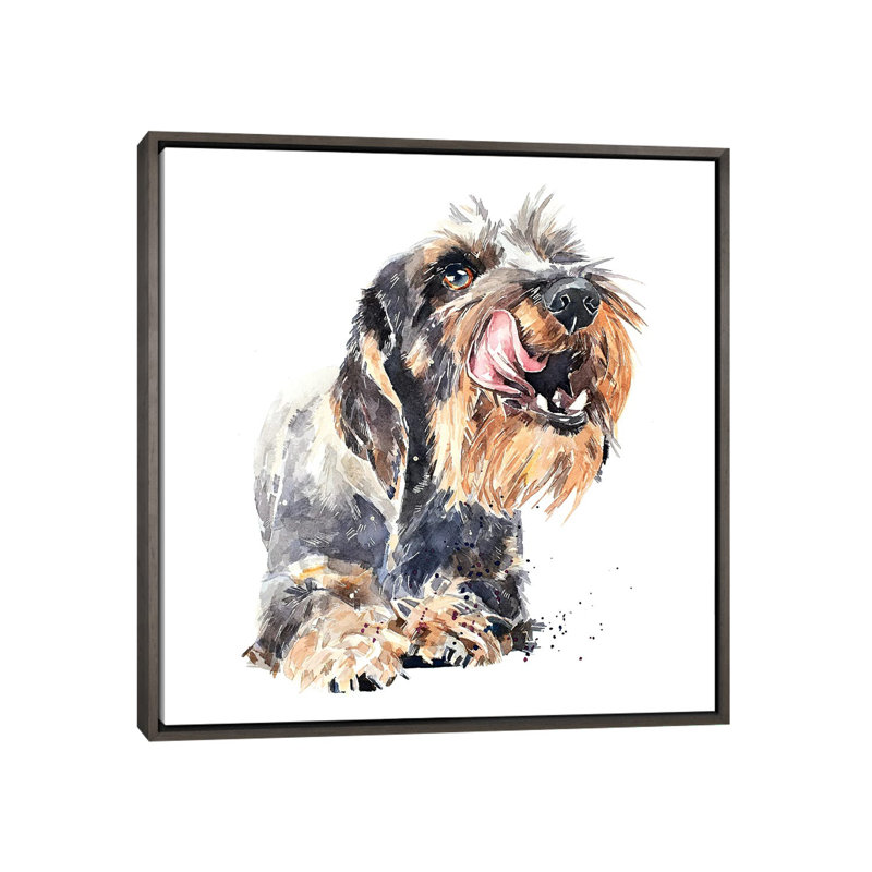 «Wirehaired Dachshund I» par EdsWatercolours - impression, Pas de tapis, H 26 po x l 26 po x P 1,5 po