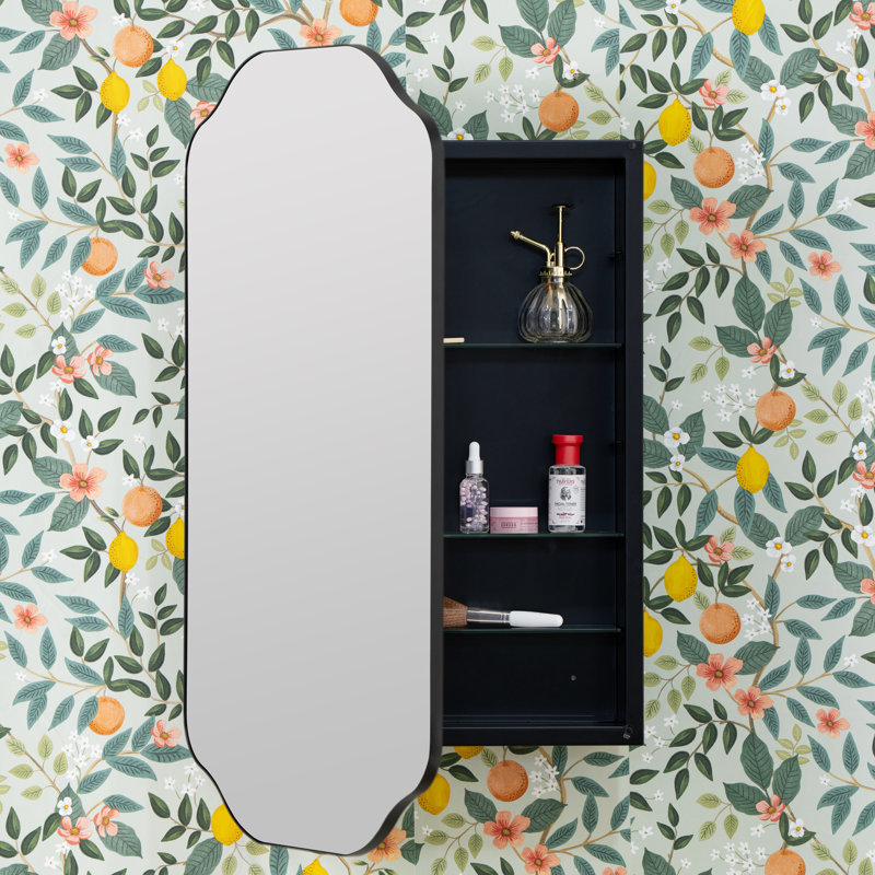 Eaton Medicine Cabinet, Recess and Surface Mount, Black
