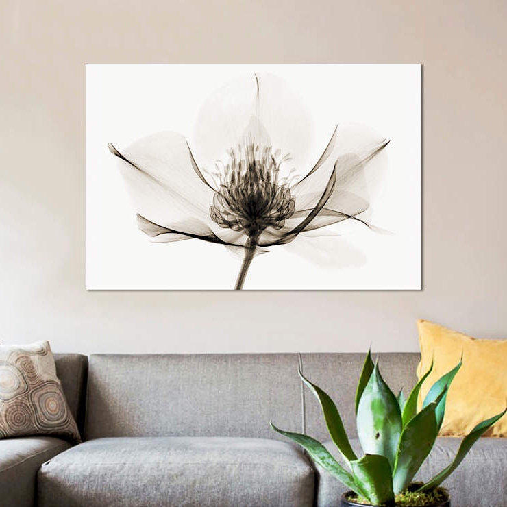 Robert Coop - Wrapped Canvas Print, 66.04 cm H x 45.72 cm W x 1.91 cm D