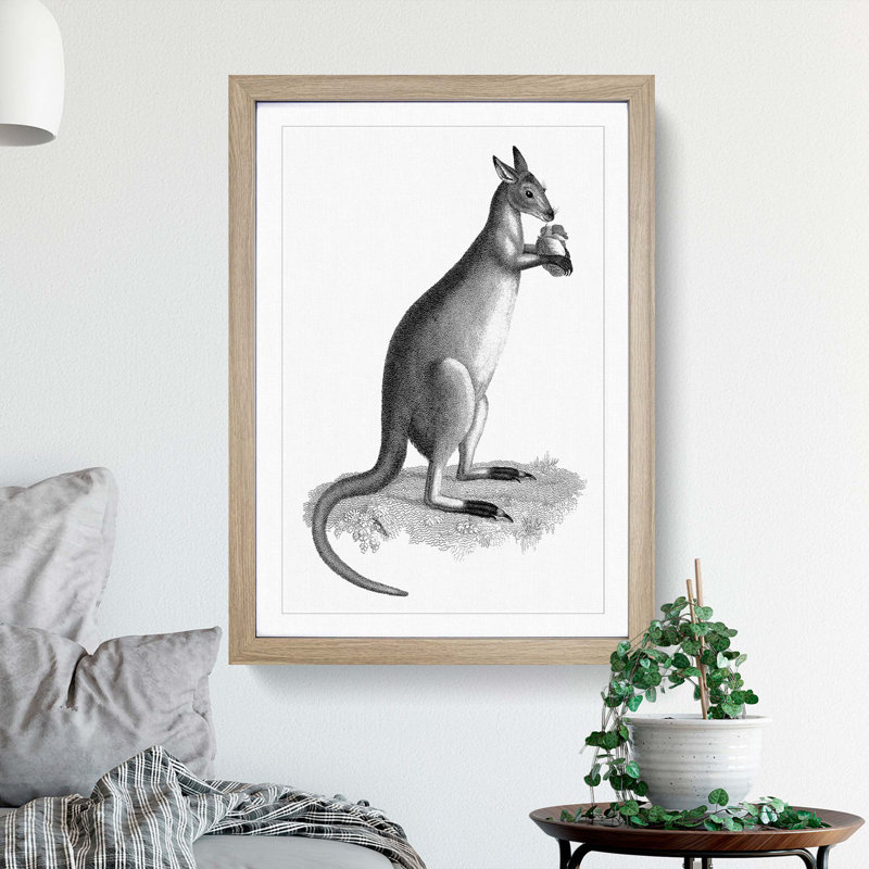 Kangaroo by George Shaw - Picture Frame Graphic Art Print, 65cm H x 48cm W x 2cm D, Oak Framed