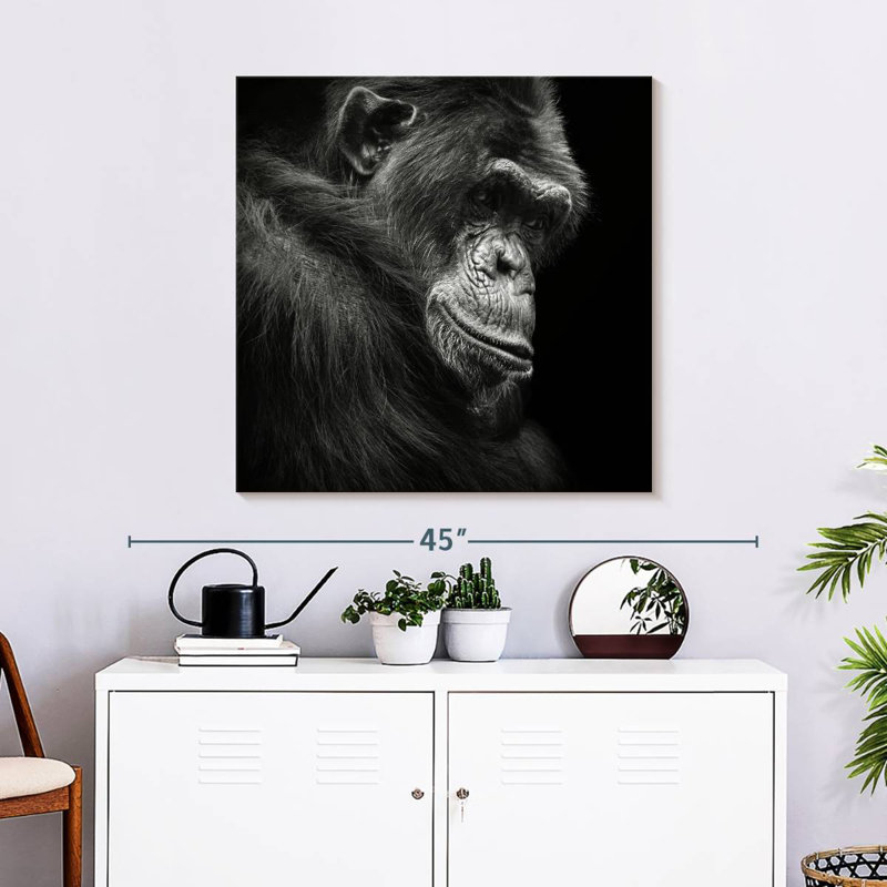 Crowle Contemplating Chimpanzee, 30" H x 30" W