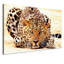 Print on Canvas-25159346