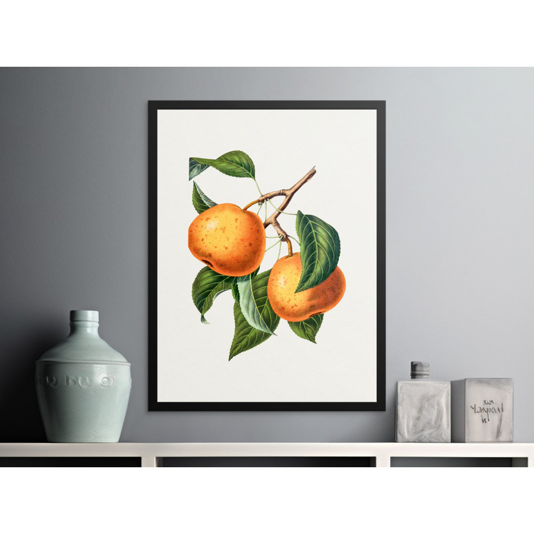 No Frame Print