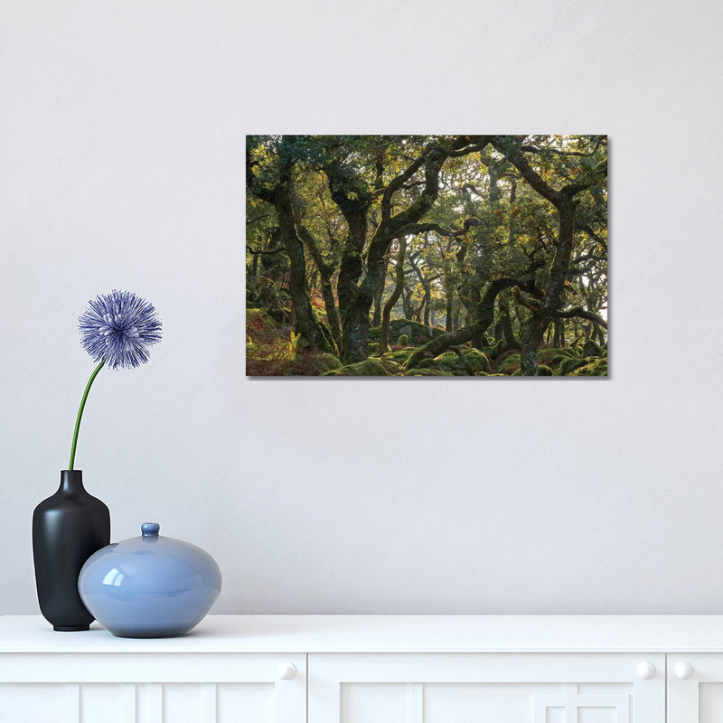 The Wild Wood by Adam Burton - Wrapped Canvas Gallery-Wrapped Canvas Giclée, 30.48 cm H x 45.72 cm W