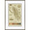 Lichenudes, John Peter Westring, 1808 par Paul Cezanne - cadre photo, impression sur papier