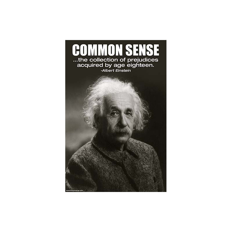 " Common Sense ", 30" H x 20" W
