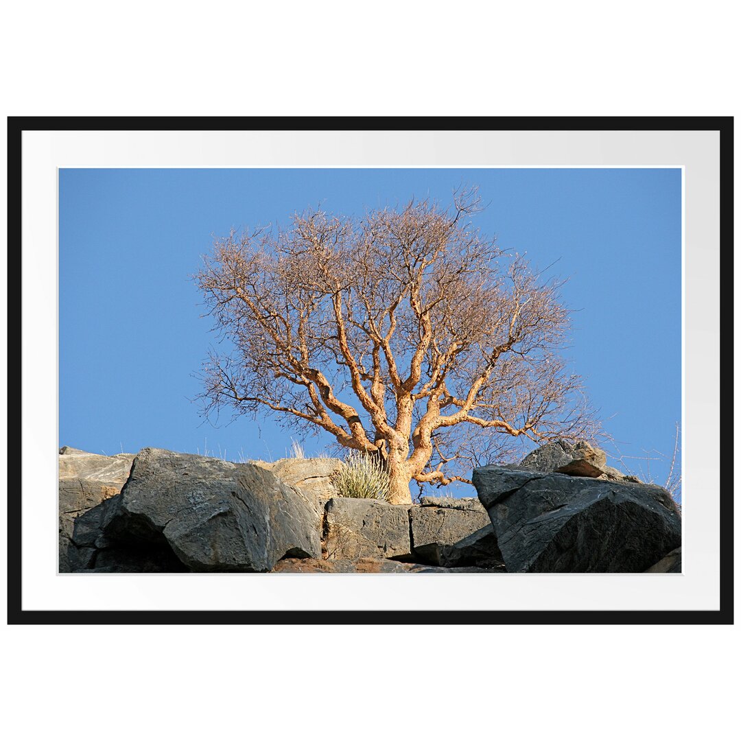 Gerahmtes Poster Einsamer Baum im Gebirge