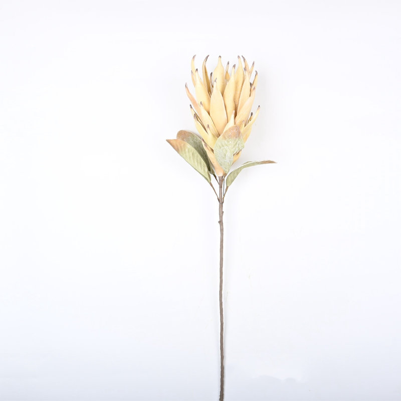 Protea Cynaroides, arrangement floral, longue tige, Beige