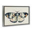 Toile flottante encadrée aquarelle noire avec papillon de nuit-1019729301-1019729291