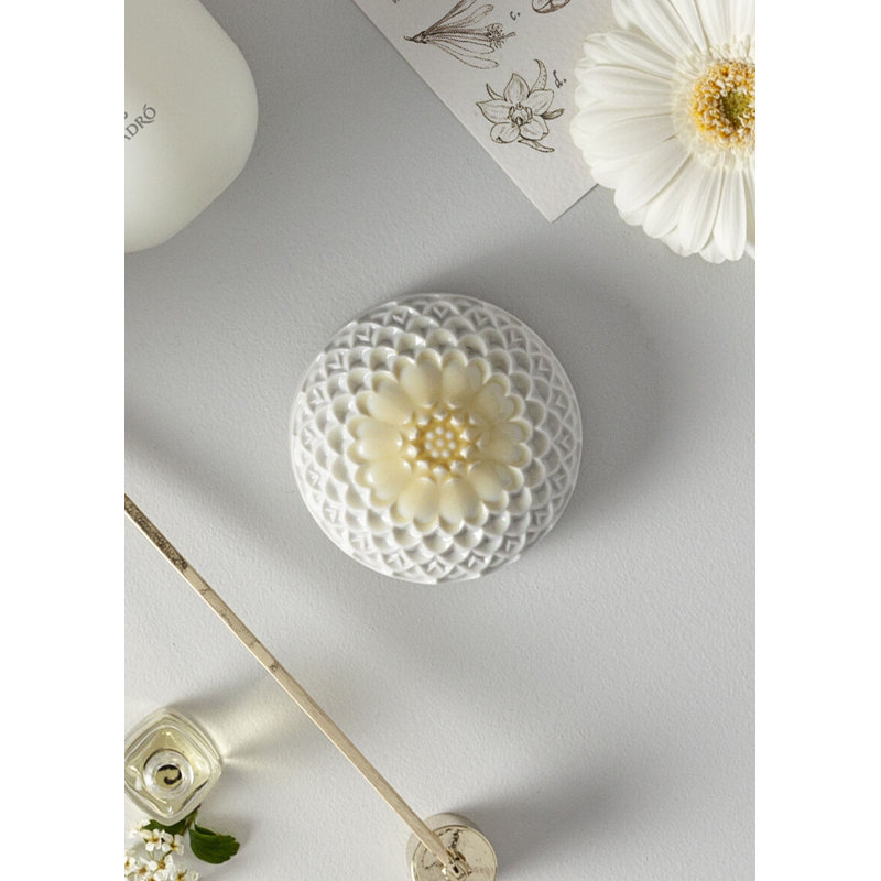 Echoes of Nature Tropical Blossoms Scented Jar Candle