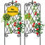 Treillis de jardin pour plantes grimpantes-133390162