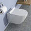 Toilette murale une pièce Rainlex RX-T40W