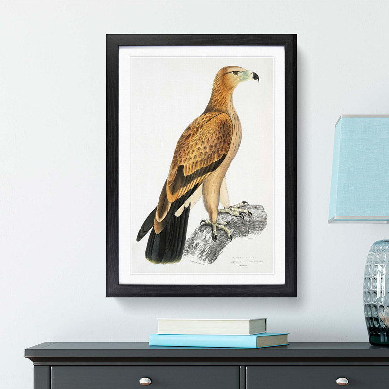 Tawny Eagle by John Edward Gray - Picture Frame Graphic Art Print, Black Framed, 65cm H x 48cm W x 2cm D