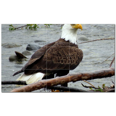 Bird Photo 4.25'' x 4.25'' Satin Ceramic Decorative Mural