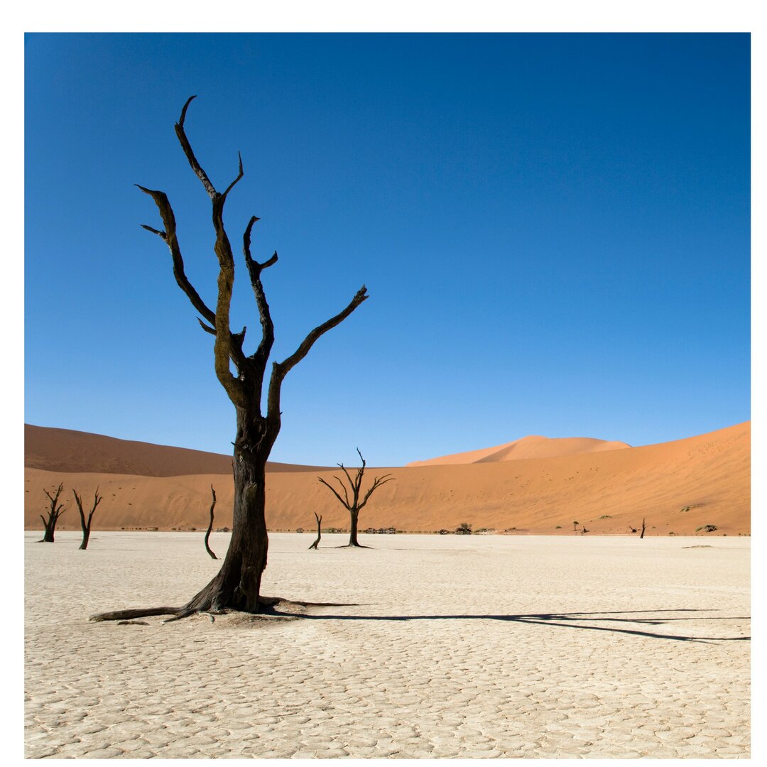 Fototapete Sossusvlei-Wüste