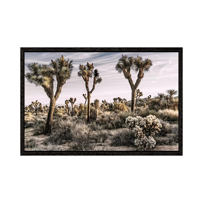 Joshua Tree Views IX by Rachel Perry - Gallery-Wrapped Canvas Giclée on Canvas, 66.04 cm H x 45.72 cm W, Black Floater Framed
