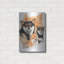 «Shiba Inv + Ghost» par Barbara Keith-892281972