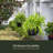 Wetumka Hanging Planter-930531038-930531029