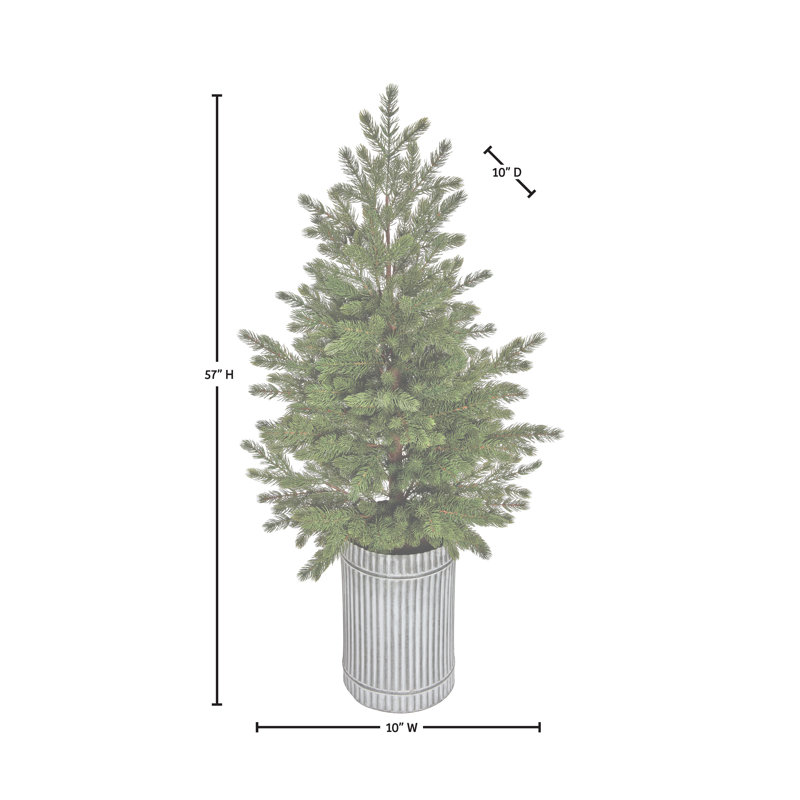 Épinette en pot 57 po Natural Touch