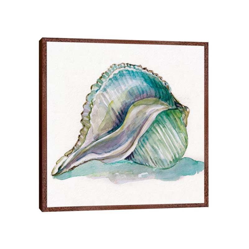 Malecon Shell I 1 Piece Wall Art on Canvas, 93.98 cm H x 93.98 cm W, Classic Brown Wood Framed